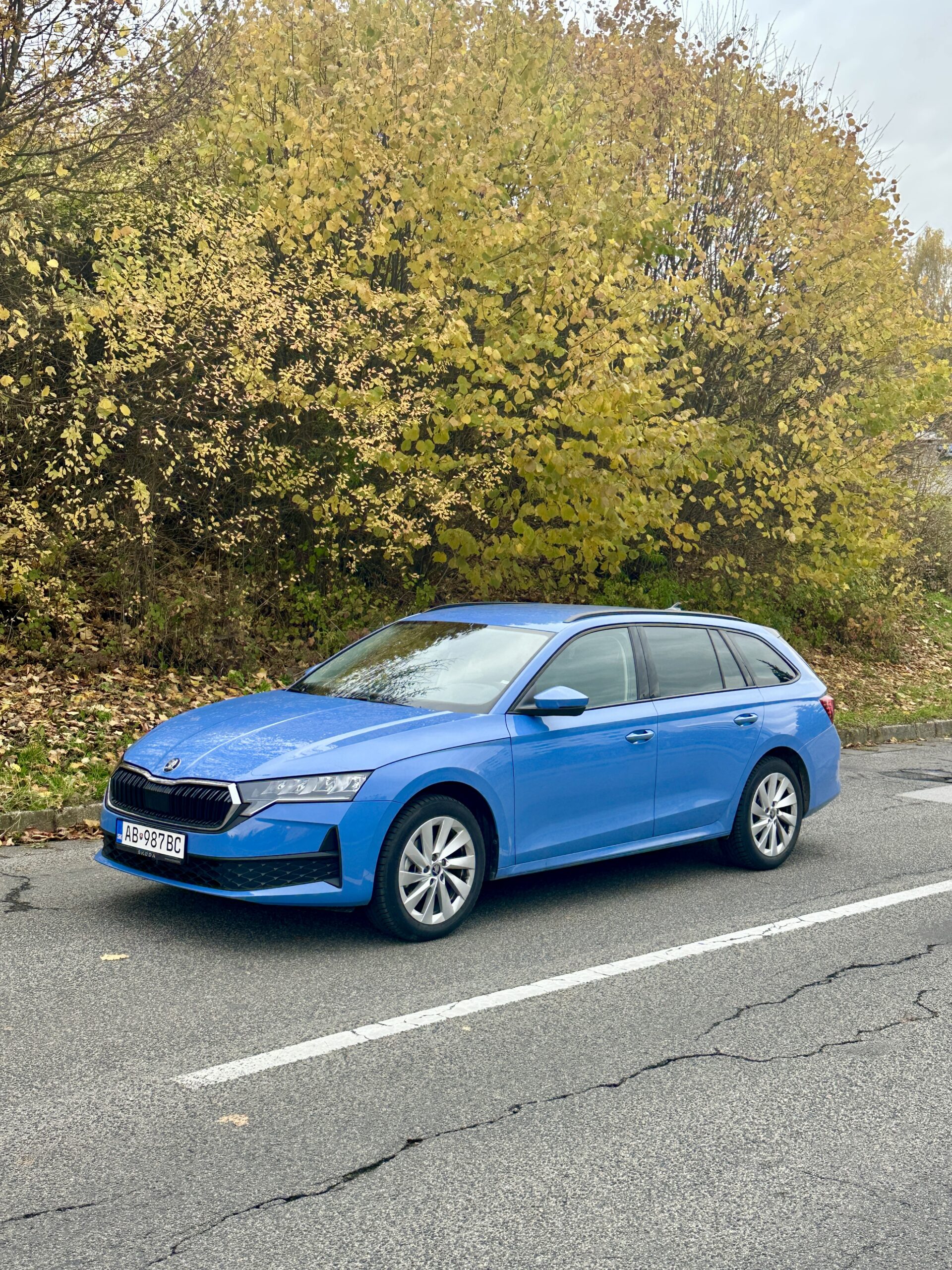 Škoda Octavia Combi 2.0 TDI 85 kW Drive 130